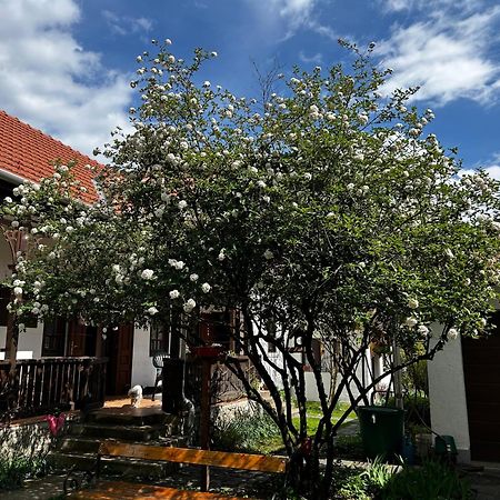 Ferienwohnung Magnolia Garden Miskolc Exterior foto