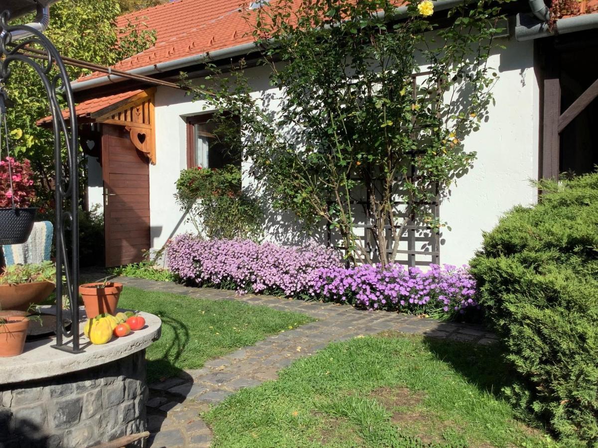 Ferienwohnung Magnolia Garden Miskolc Exterior foto